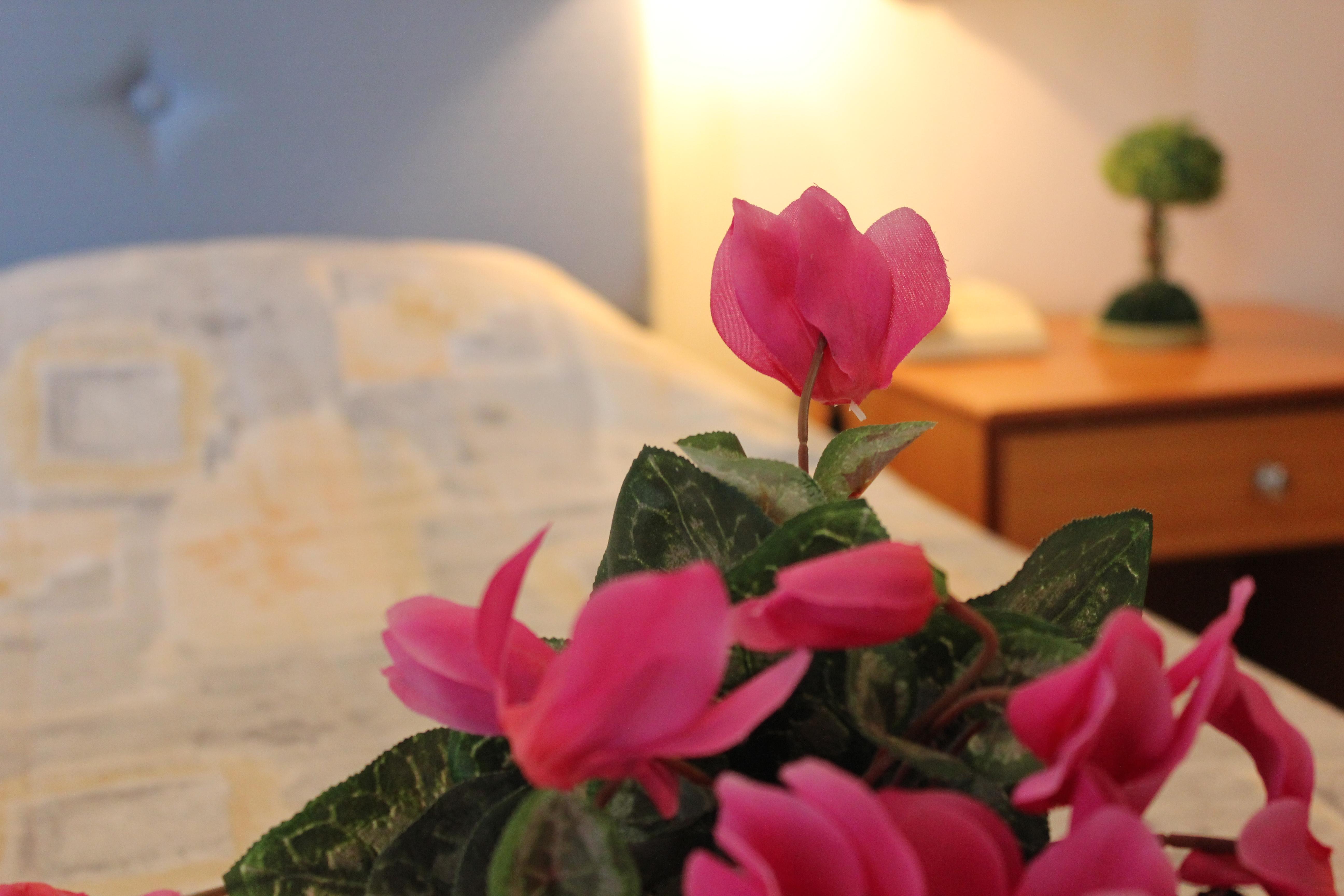 Filmar Hotel, Ixia, Rhodes Екстериор снимка