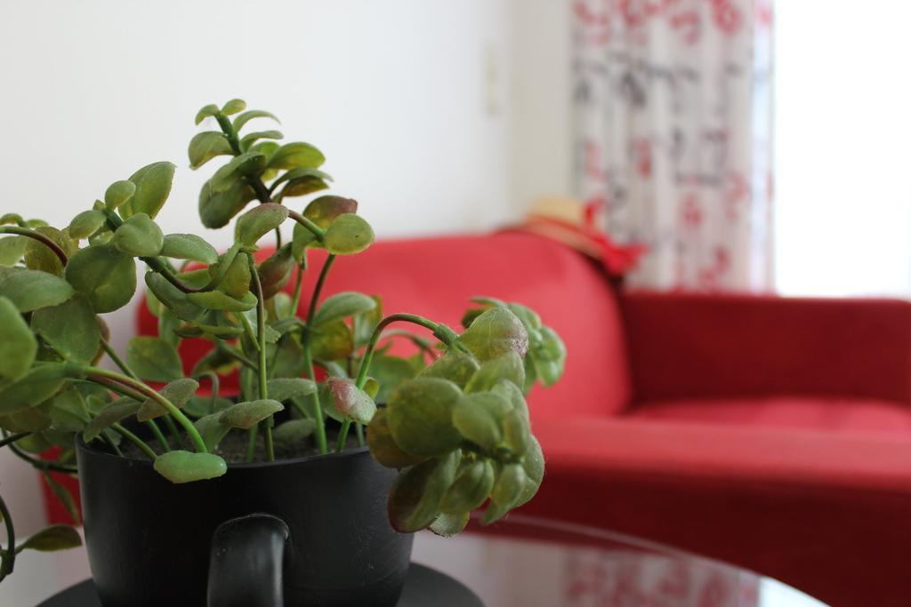 Filmar Hotel, Ixia, Rhodes Екстериор снимка